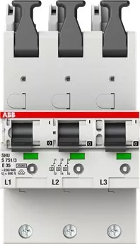 ABB Stotz S&J Hauptsicherungsautomat S751/3-E35