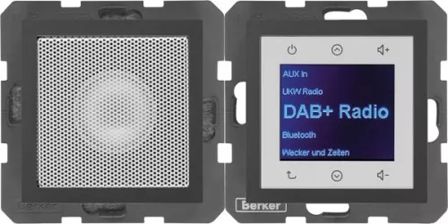 Berker Radio mit Lautspr. DAB+ B. 29801606