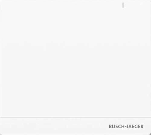 Busch-Jaeger System Access Point 2.0 SAP/S.13
