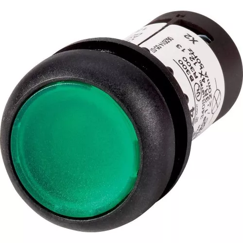 Eaton Leuchtdrucktaste flach C22S-DL-G-K10-24