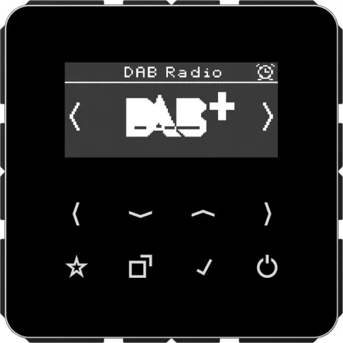 Jung Smart DAB+ Digitalradio DAB CD SW