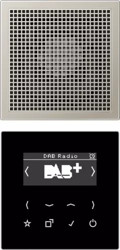 Jung Smart DAB+ Digitalradio DAB ES1