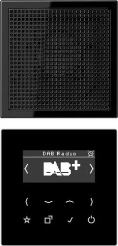 Jung Smart DAB+ Digitalradio DAB LS1 SW