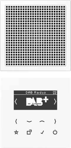 Jung Smart DAB+ Digitalradio DAB LS1 WW