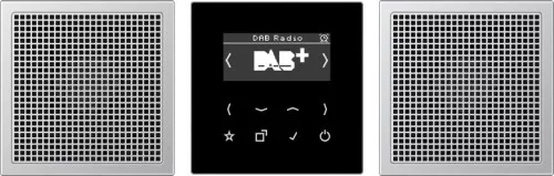 Jung Smart Radio DAB+ DAB AL2