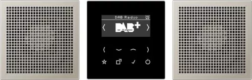 Jung Smart Radio DAB+ DAB ES2