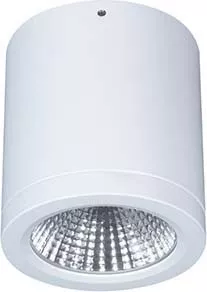 LTS Licht&Leuchten LED-Anbau-DownlightButton BTNM 101.30.55 ws