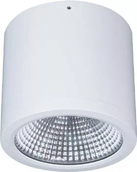 LTS Licht&Leuchten LED-Anbau-DownlightButton BTNM 202.30.55 ws