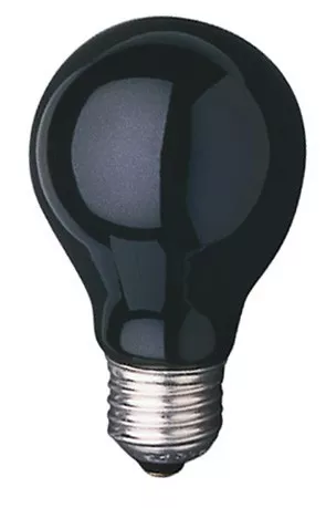 Scharnberger+Hasenbein Schwarzlichtlampe 40882