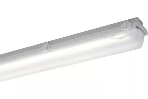 Schuch Licht LED-Feuchtraum-Notleuchte 161 12L60 ZB
